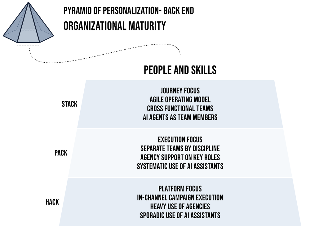 Organisational maturity: People and Skills